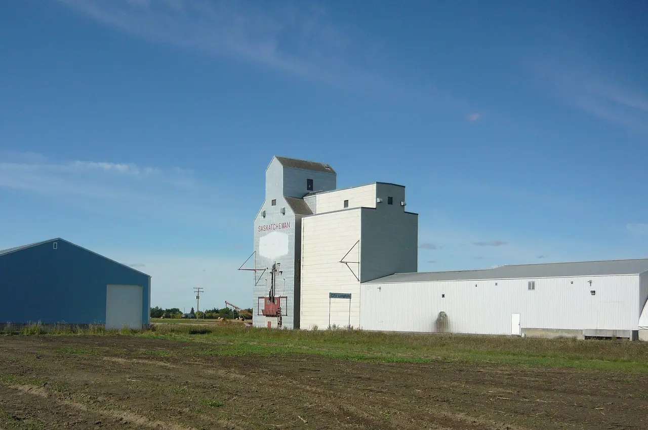 The grain elevator and annex, 2009
